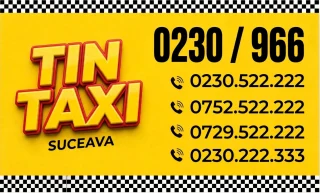 Logo TIN-TAXI Suceava