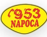 Logo Napoca Taxi