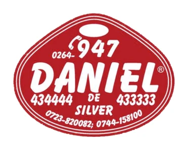 Logo Daniel de Silver